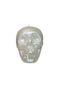 Example image of Skulls